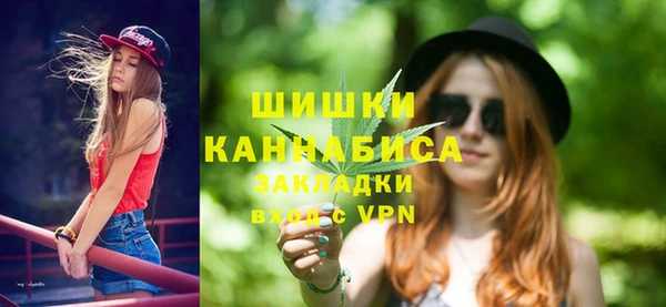 2c-b Инсар