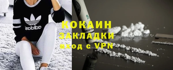 2c-b Инсар