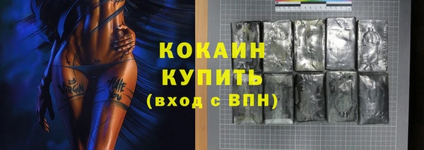 2c-b Инсар