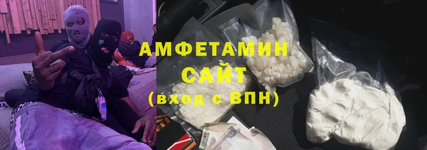 2c-b Инсар