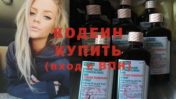 2c-b Инсар
