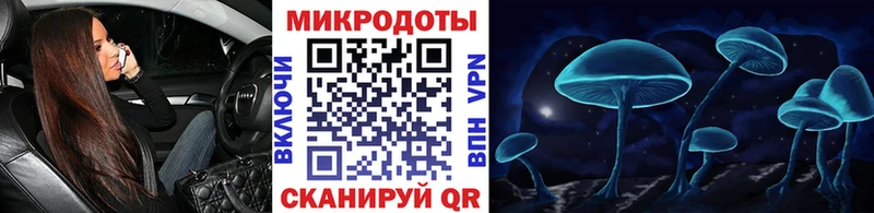 Купить  Мурино  Галлюциногенные грибы Magic Shrooms 